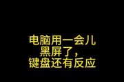 电脑刷抖音黑屏有声音的解决方法是什么？