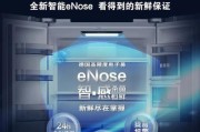西门子冰箱E11故障维修方法（解决冰箱E11故障的有效措施）