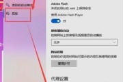 手机无法打开网页的解决办法（解决您手机无法正常访问网页的烦恼）