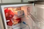 冰柜不再冻结食物，找出问题的（为什么冰柜不再冻结食物）