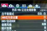 索尼相机视频录制声音设置方法是什么？