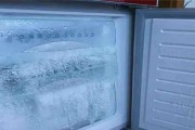 自动冰箱无法结冰的原因及解决方法（为什么自动冰箱无法结冰）