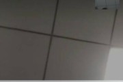 如何设置vivo微信视频聊天美颜功能（vivo手机微信美颜设置步骤详解，让你拥有完美视频聊天体验）