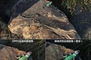 苹果手机5倍镜头能拍多远？如何使用？