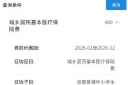 如何查询医保缴费记录（简单操作帮你快速获取个人医保缴费记录）