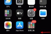 苹果手机无法安装app问题解析（探究苹果手机无法安装app的原因及解决方法）