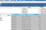 如何查看Oracle数据库字符集命令（掌握Oracle数据库字符集命令）