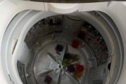 洗衣机甩干功能失效的原因及修理方法（了解洗衣机甩干失效的常见原因）