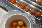 手机如何拍摄肉丸子？怎样拍出美食照片？