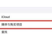 iOS如何下载并安装APK文件（详细教程带你轻松实现iOS安装APK文件）