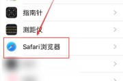 苹果手机如何放大屏幕？有哪些快捷操作？