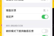 苹果手机声音如何调整至闪亮发亮？有哪些设置技巧？