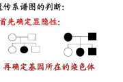 独显和集显的区别是什么？简单易懂的解释？