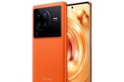 Vivox80与小米12Pro入手建议（全面了解Vivox80与小米12Pro，为您的购买决策提供帮助）