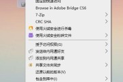 如何恢复被删除的U盘数据（利用专业恢复软件轻松找回U盘数据）