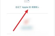 揭秘苹果激活时间的奥秘（以苹果查询激活时间，你会发现自己的“生日”）