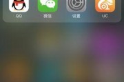 解决屏幕中间出现一条竖线的问题（排除故障、修复显示屏的关键步骤）