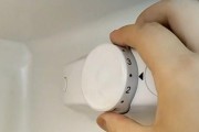 插电导致西门子冰箱跳闸怎么解决（冰箱跳闸处理方法及常见故障排查）