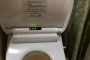 海尔智能马桶E1故障原因解析（探寻海尔智能马桶E1故障背后的真相）