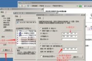 如何手动设置DNS以获得更好的网络体验（提升网络速度和安全性）
