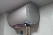 电热水器的专业清洗方法（彻底清洁你的电热水器）