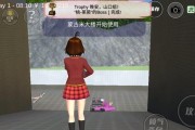 小猫模拟器进入车库的正确操作是什么？车库有什么功能？