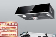 欧派抽油烟机墙面漏油的原因和处理方法（解决墙面漏油问题）