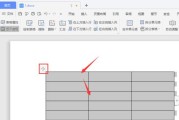 教你如何在WPS表格中创建中间分割虚线（一键操作）