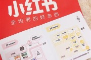小红书笔记本直播配置设置方法？设置步骤是什么？