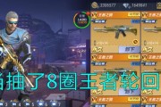 王者轮回（游戏爱好者必看）
