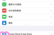 如何解决iPhone提示异地登录AppleID的问题（保护您的AppleID账户安全的关键措施）