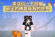 网易版我的世界电脑版如何安装？游戏内常见问题如何解决？