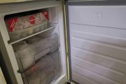 冰箱左侧发热冷冻不制冷的原因及解决方法（冰箱制冷异常可能性分析与解决方案探讨）