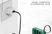 派勒斯原装充电器的外观特征有哪些？