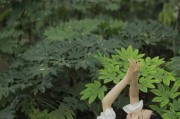 手机如何拍摄灯光效果？