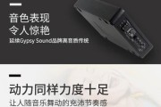 声琅低音炮调声方法是什么？常见问题有哪些？