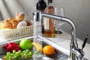 家庭饮用水的净化（分析家庭净水器的必要性及影响因素）