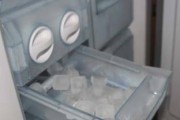 冰箱过滤器更换方法（简单易学的冰箱过滤器更换步骤）
