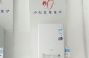 小松鼠壁挂炉温度上升太快的原因（探究小松鼠壁挂炉温度过快上升的问题及解决方法）