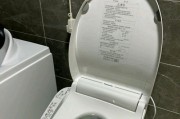 马桶异味的原因及解决方法（松下马桶异味的维修办法）