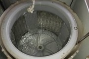 为什么洗衣机不能清洗某些物品（探讨洗衣机无法清洗某些物品的原因及解决方法）