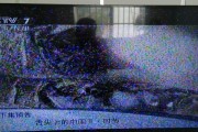 电脑出问题了怎么办（解决电脑故障的有效方法）