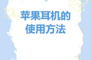 迷你耳机如何连接电脑上网？连接过程中遇到问题怎么办？