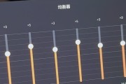 理想铂金音响的设置选项如何找到？