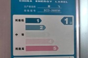 新飞冰箱不通电的原因及解决方法（探究新飞冰箱停电的原因和如何解决）