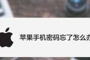 苹果手机忘记锁屏密码的解决方法（忘记密码了怎么办）
