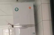 威能壁挂炉F28故障现象及解决方法（了解威能壁挂炉F28故障）