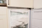 风冷冰箱冷藏室结冰的原因及解决方法（探究风冷冰箱冷藏室结冰的原因）