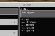 服务器辅助指令含义是什么？如何正确使用？
