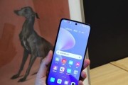 小米手机无法进入快充模式的解决方法（小米手机快充模式无法使用的常见问题及解决办法）
